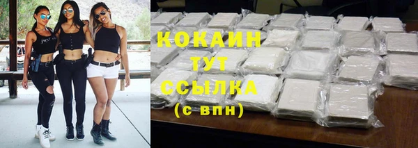 индика Нея