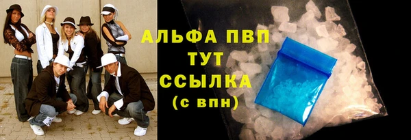 индика Нея