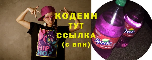 индика Нея
