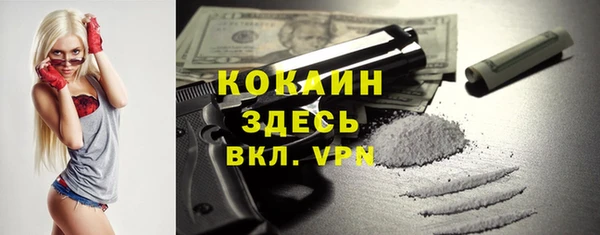 индика Нея