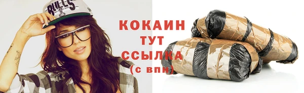 индика Нея