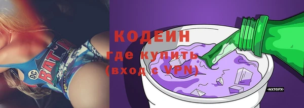 индика Нея