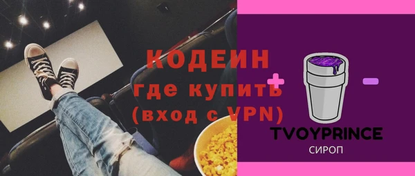 индика Нея