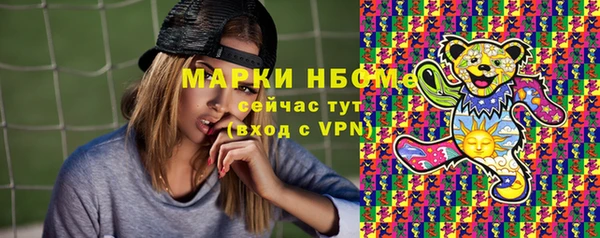 индика Нея