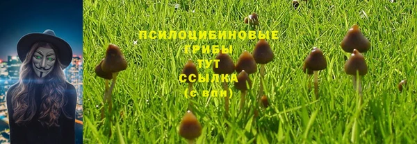 индика Нея