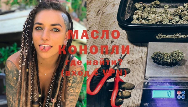 индика Нея