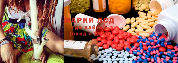 индика Нея