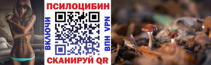 Галлюциногенные грибы прущие грибы  Судогда 