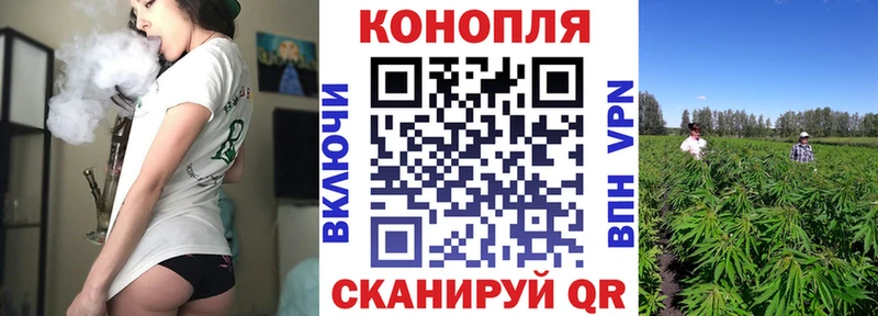Бошки Шишки MAZAR  Судогда 